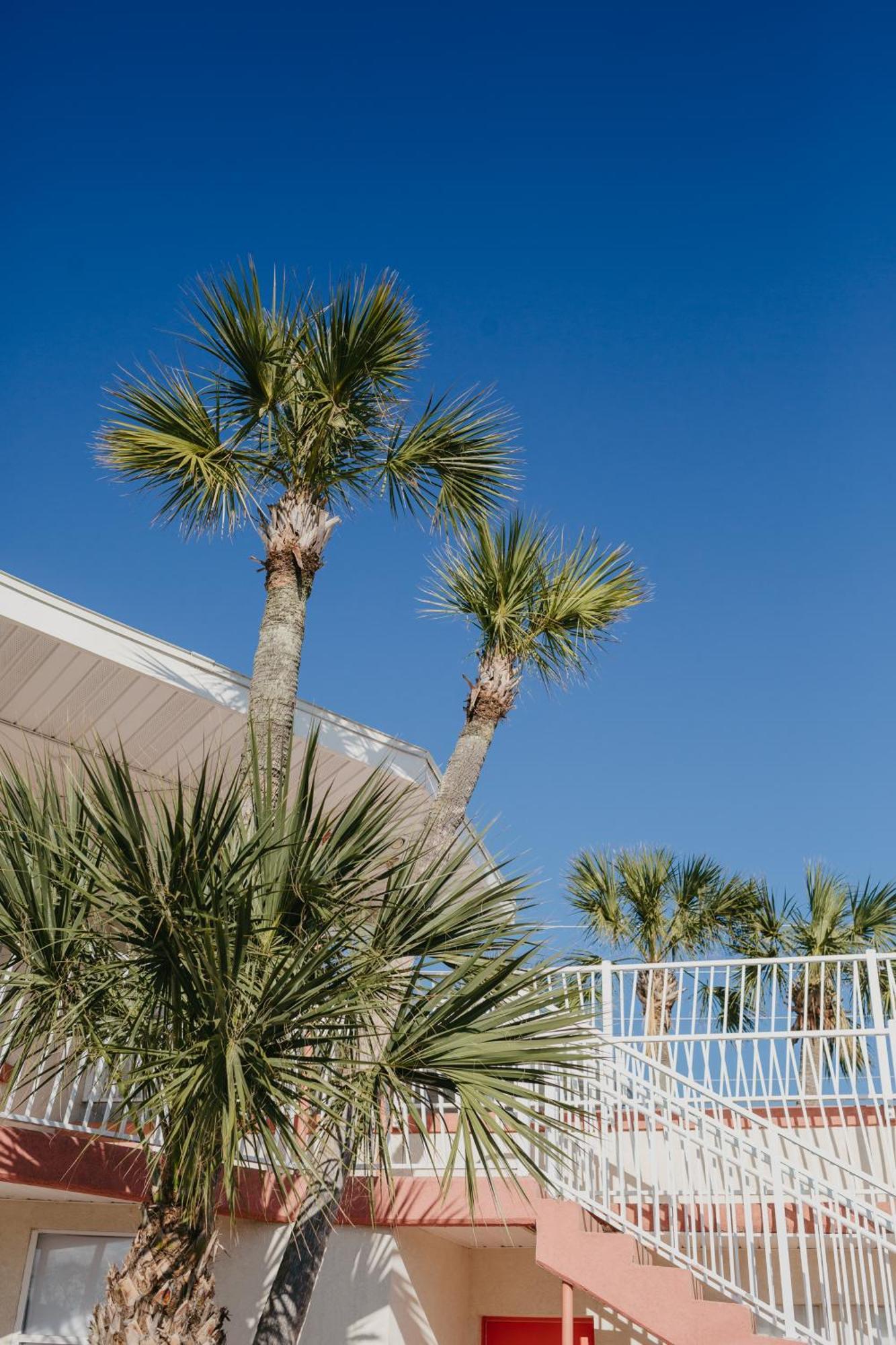 The Local - St. Augustine Motel Exterior photo